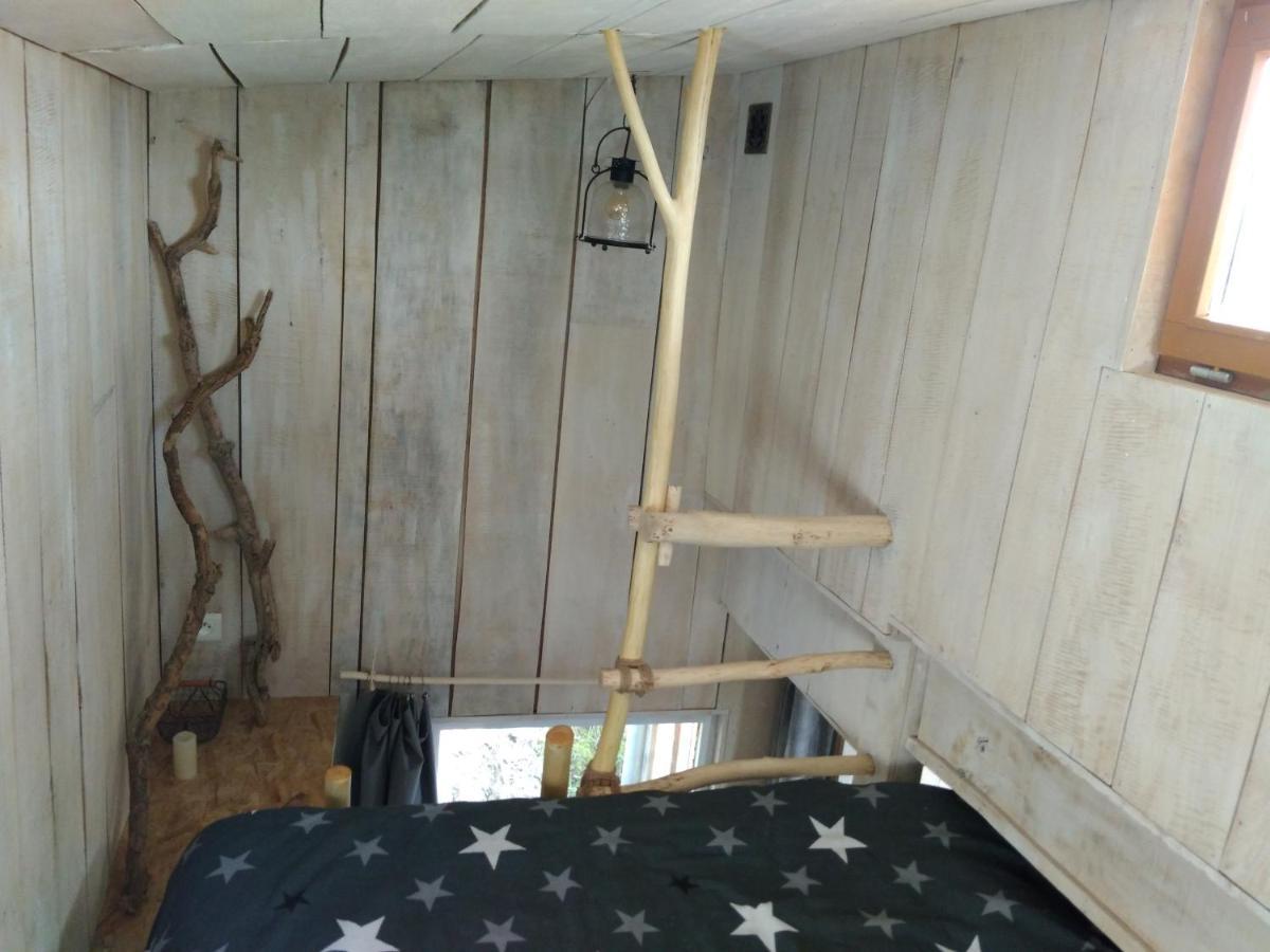 La Cabane En Bois Villemur-sur-Tarn エクステリア 写真