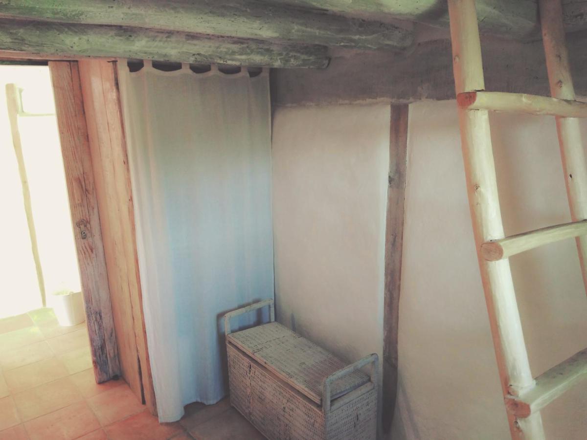 La Cabane En Bois Villemur-sur-Tarn エクステリア 写真