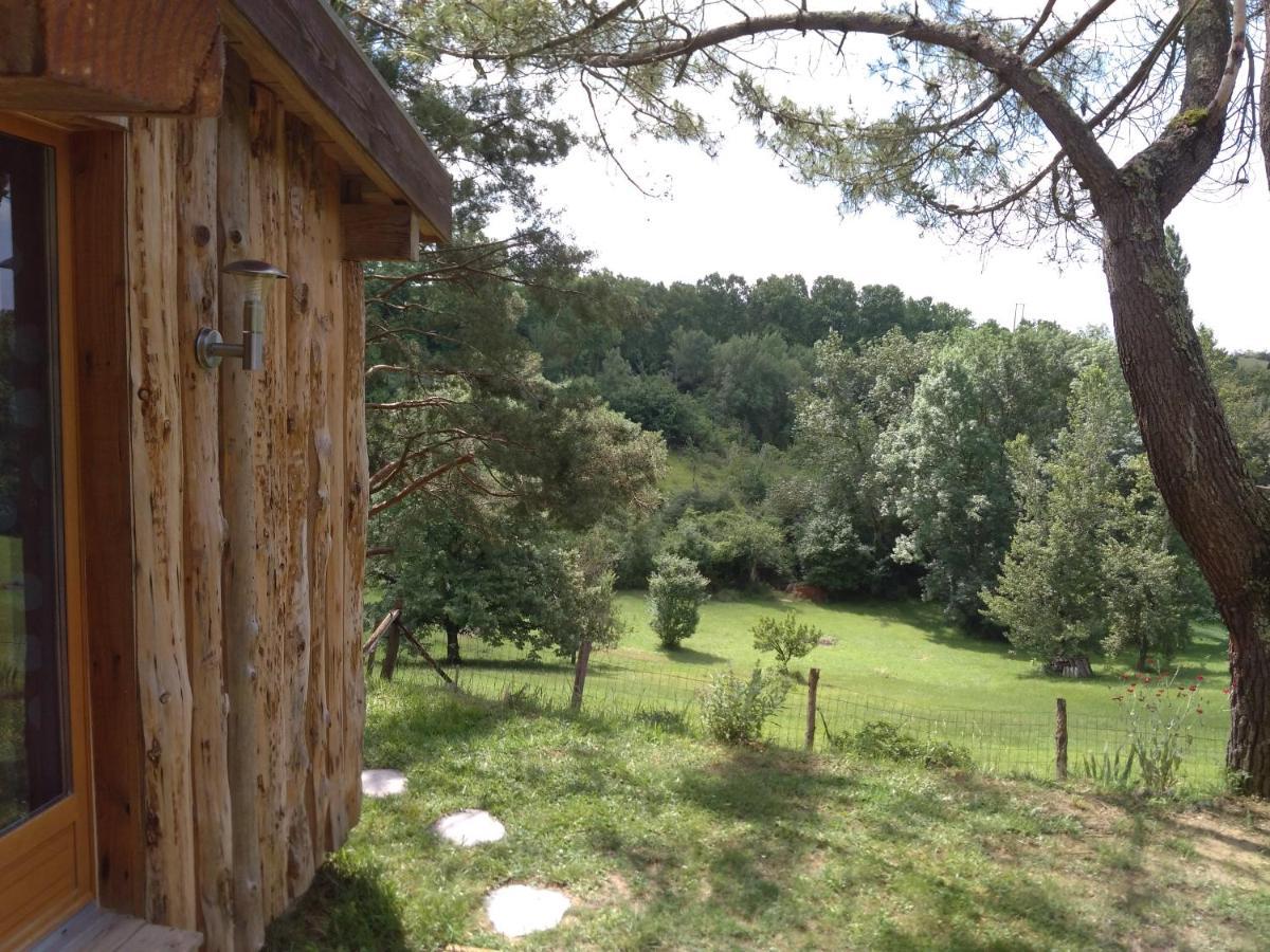 La Cabane En Bois Villemur-sur-Tarn エクステリア 写真