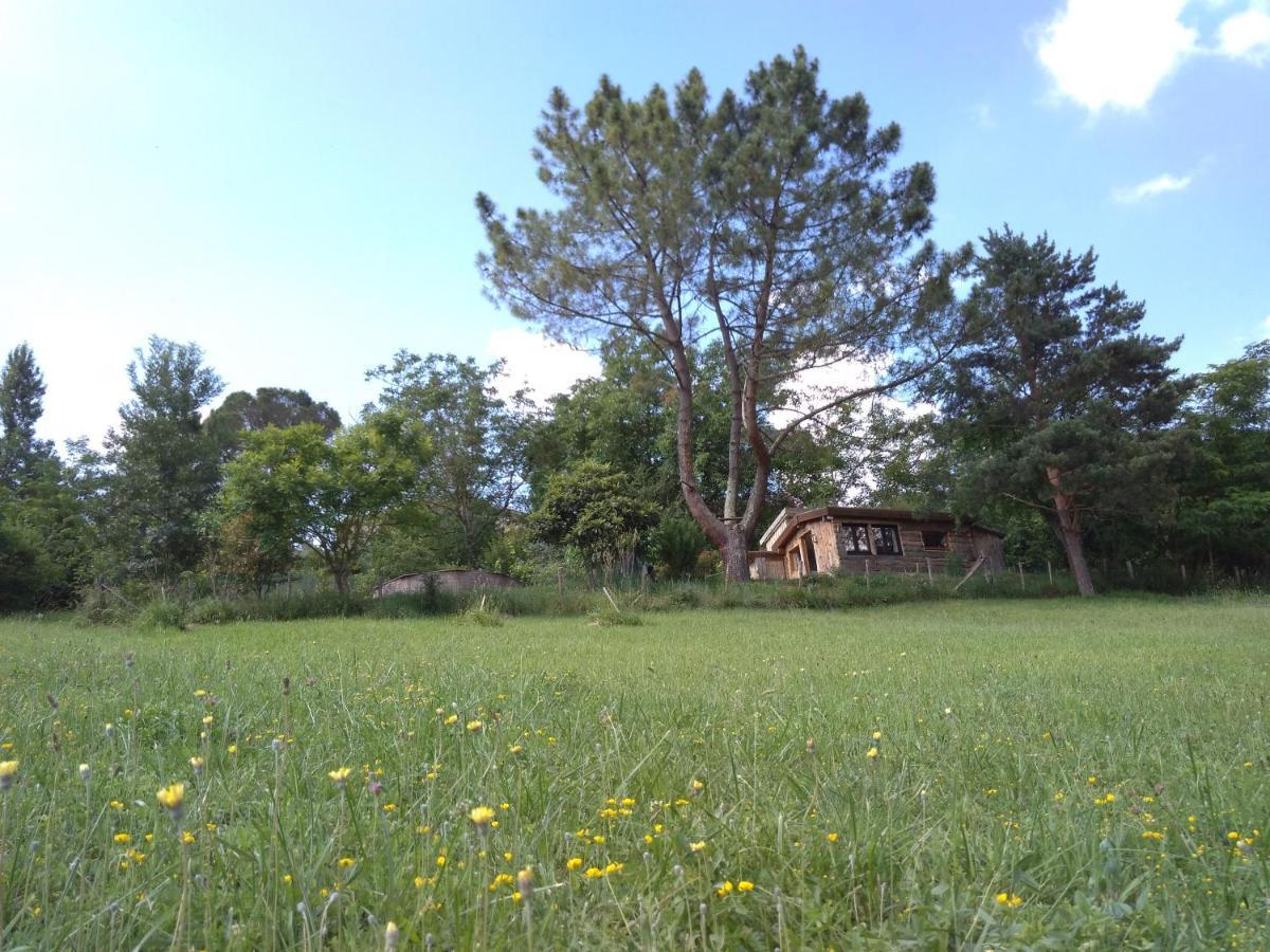 La Cabane En Bois Villemur-sur-Tarn エクステリア 写真