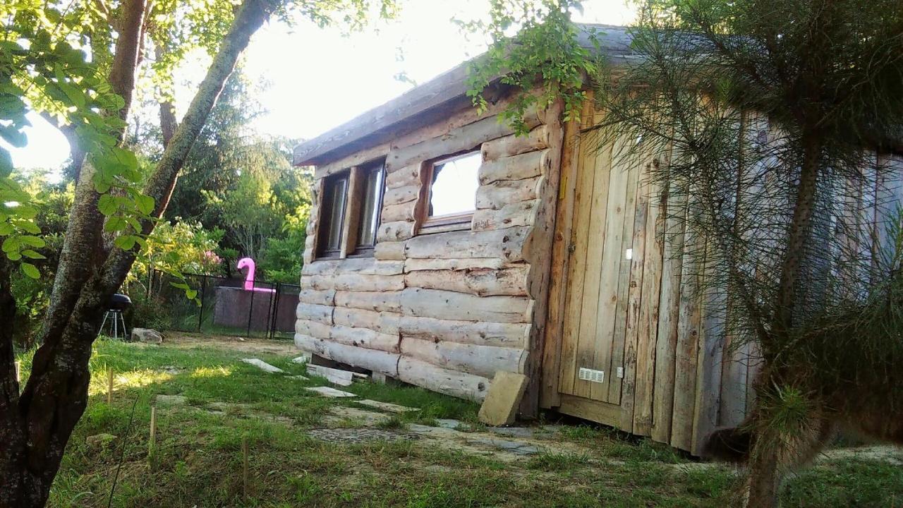 La Cabane En Bois Villemur-sur-Tarn エクステリア 写真