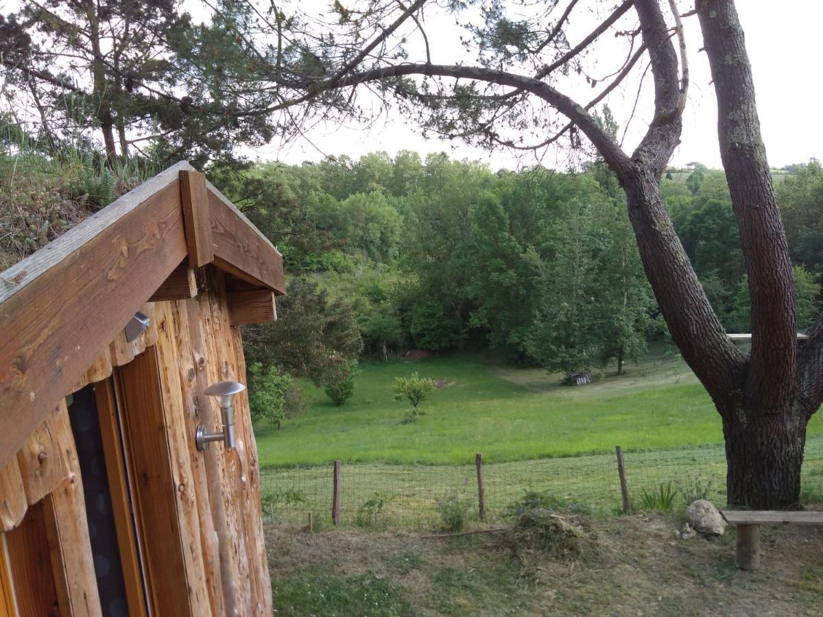 La Cabane En Bois Villemur-sur-Tarn エクステリア 写真