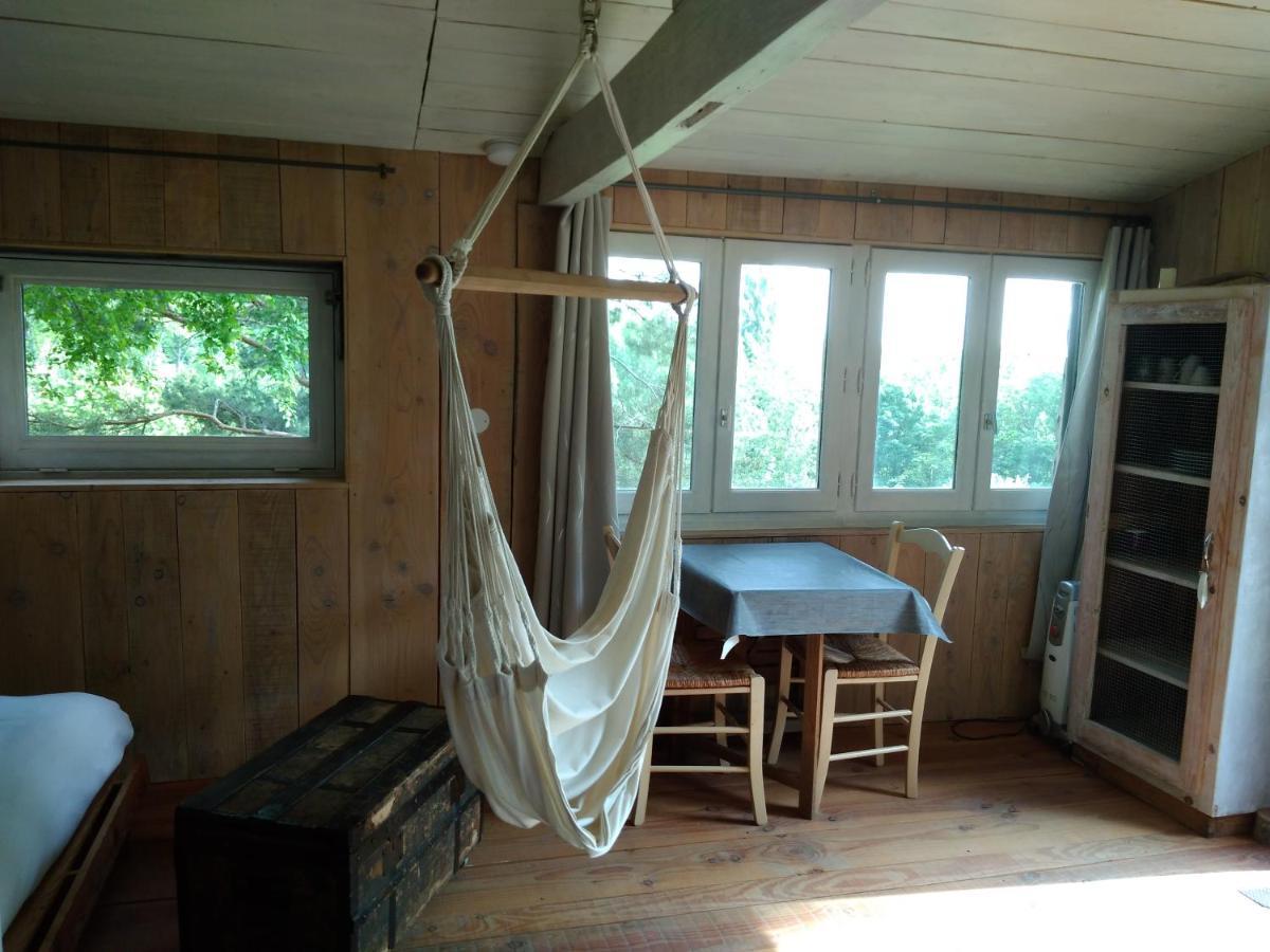 La Cabane En Bois Villemur-sur-Tarn エクステリア 写真
