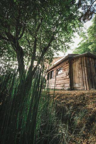 La Cabane En Bois Villemur-sur-Tarn エクステリア 写真